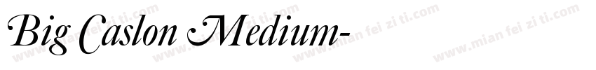 Big Caslon Medium字体转换